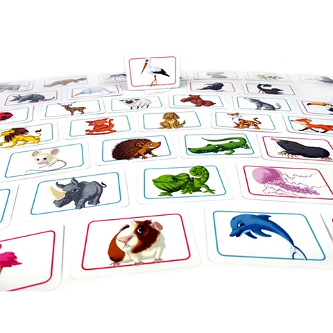 Concept Kids - Állatok