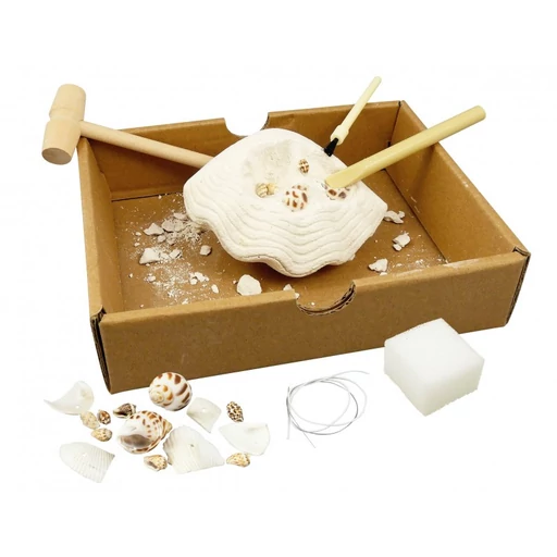 Buki - Kagylók felfedező készlet 