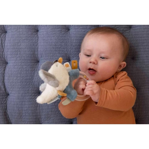 Little Dutch - Csörgő sirály