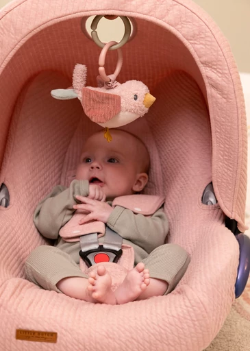 Little Dutch - Rezgő kismadár 