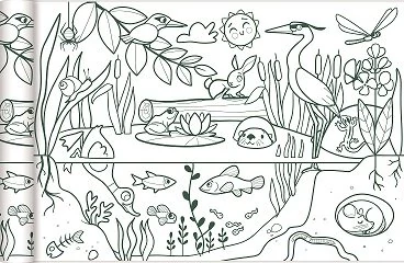 Színezőtekercs – környezetünk - 5 m * 0,35 m