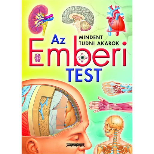 Mindent tudni akarok! - Az emberi test