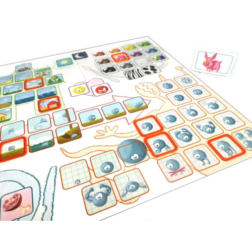 Concept Kids - Állatok