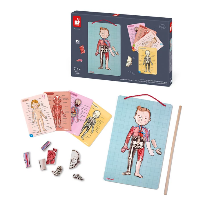 Janod - Emberi test - mágneses kirakó 