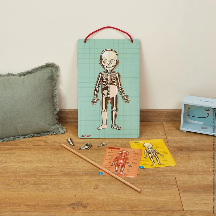 Janod - Emberi test - mágneses kirakó