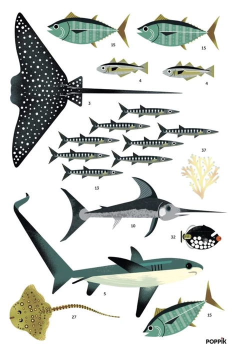 Poppik - Kreatív, fejlesztő óriásplakát - 59 matricával - Óceán