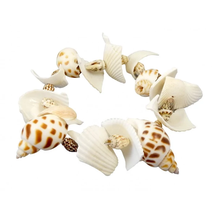 Buki - Kagylók felfedező készlet 