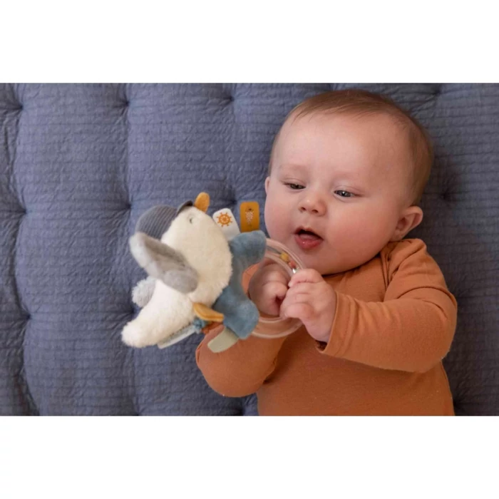 Little Dutch - Csörgő sirály